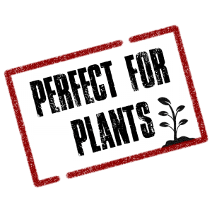 Perfect For Plants Logo Red Boarder with Black Text and image of a plant
