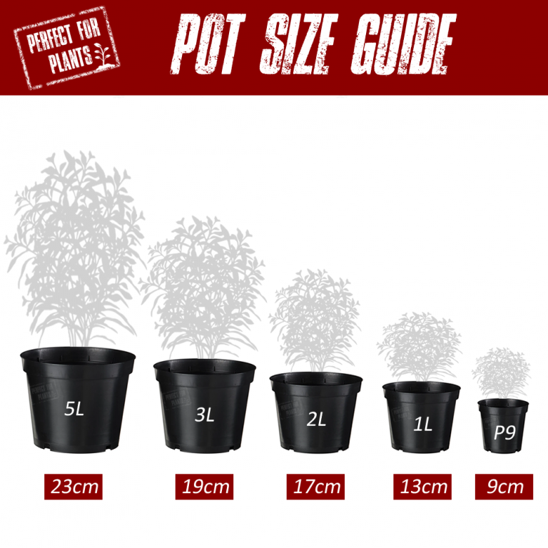 Plant pot size guide Idea