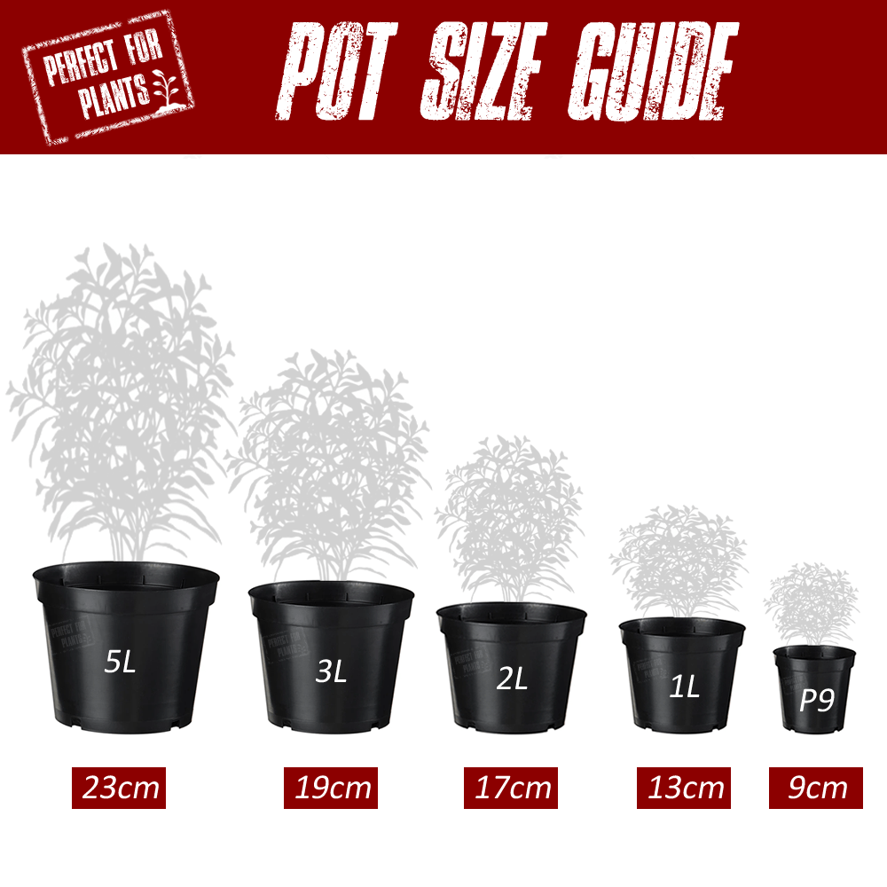 Plant Pot Size Guide ⋆ Perfect For Plants...